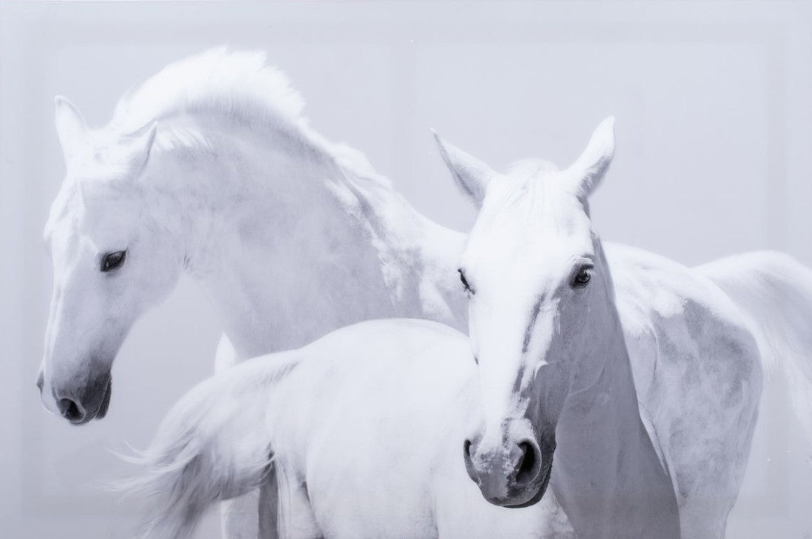 Beth Brancale "White Horses" Photograph