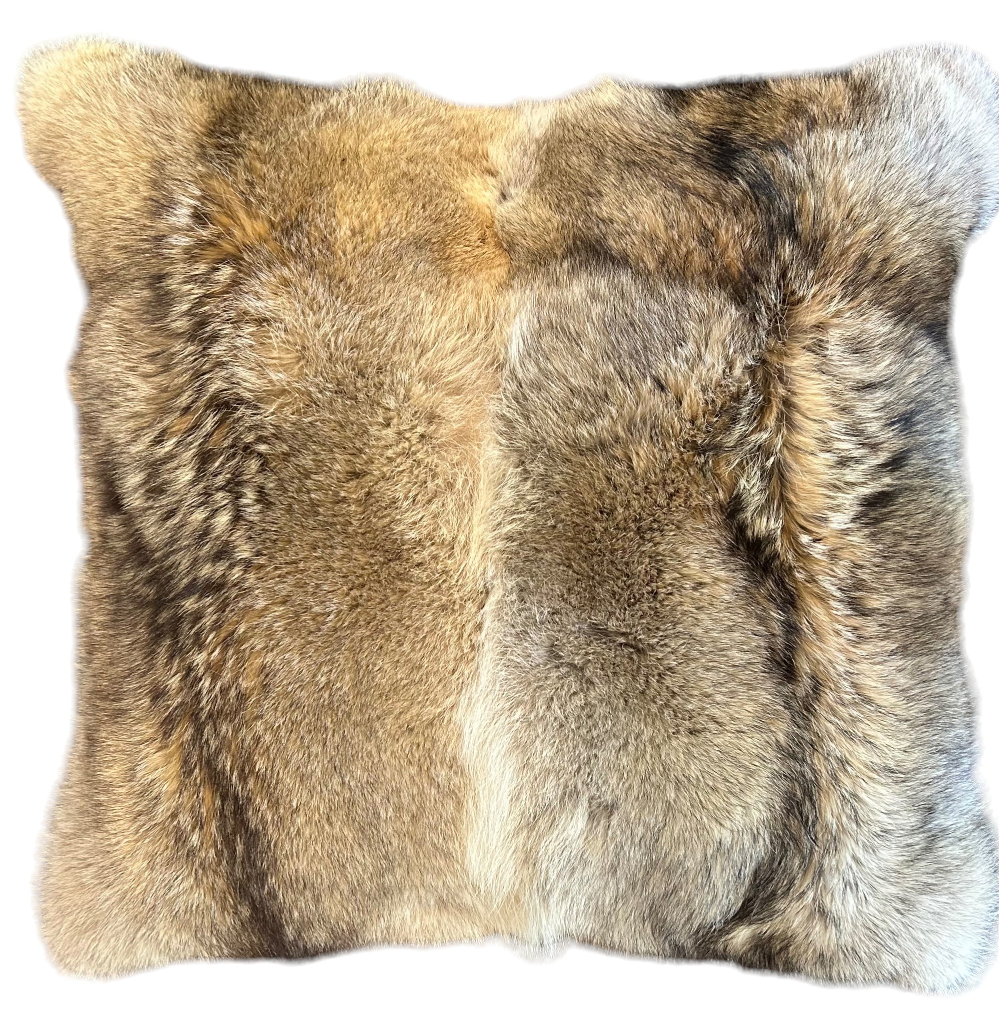 Pair of RL Coyote 24" Square Pillows.