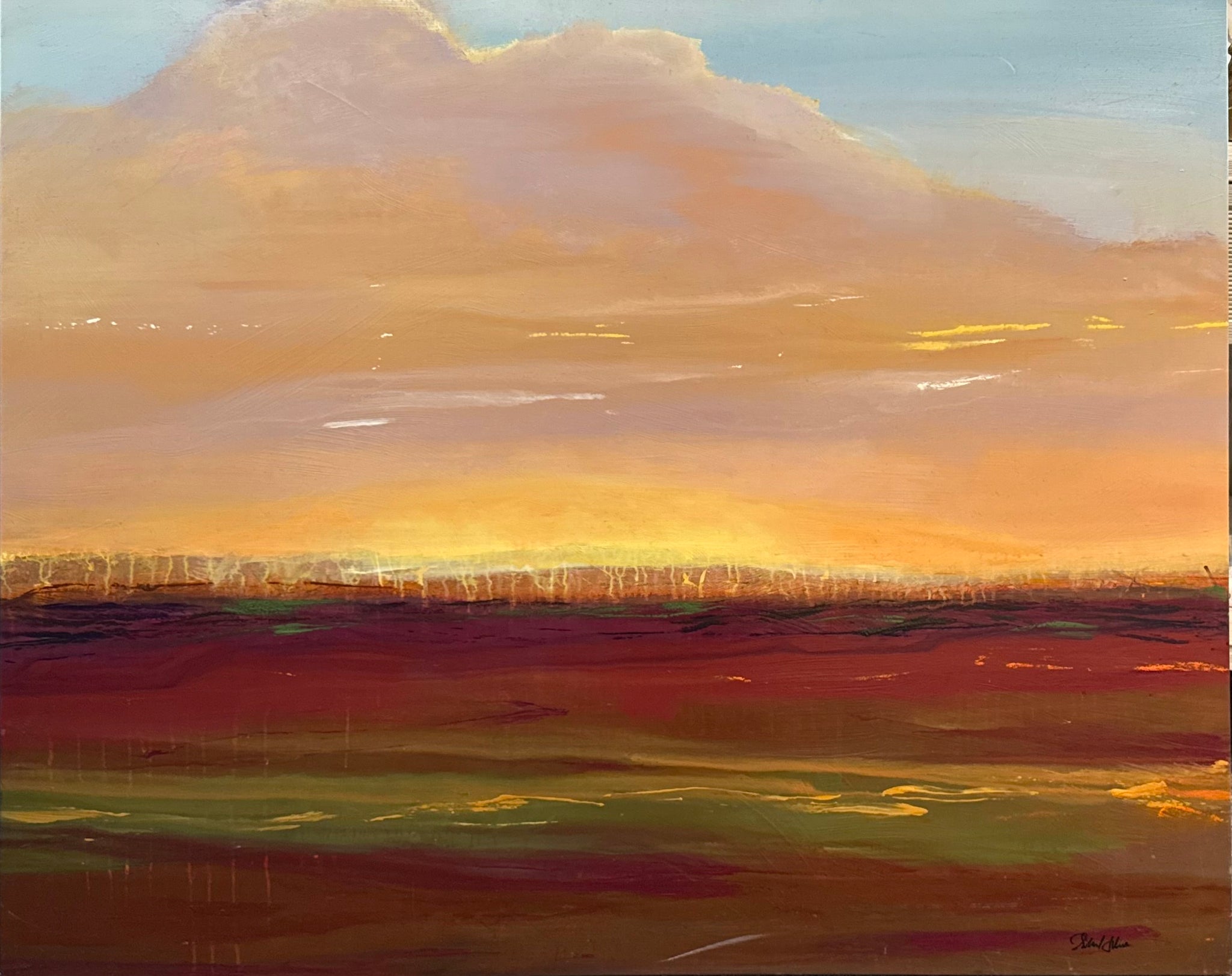 Starlie Sokol Hohne "Clouds Over Marshland"