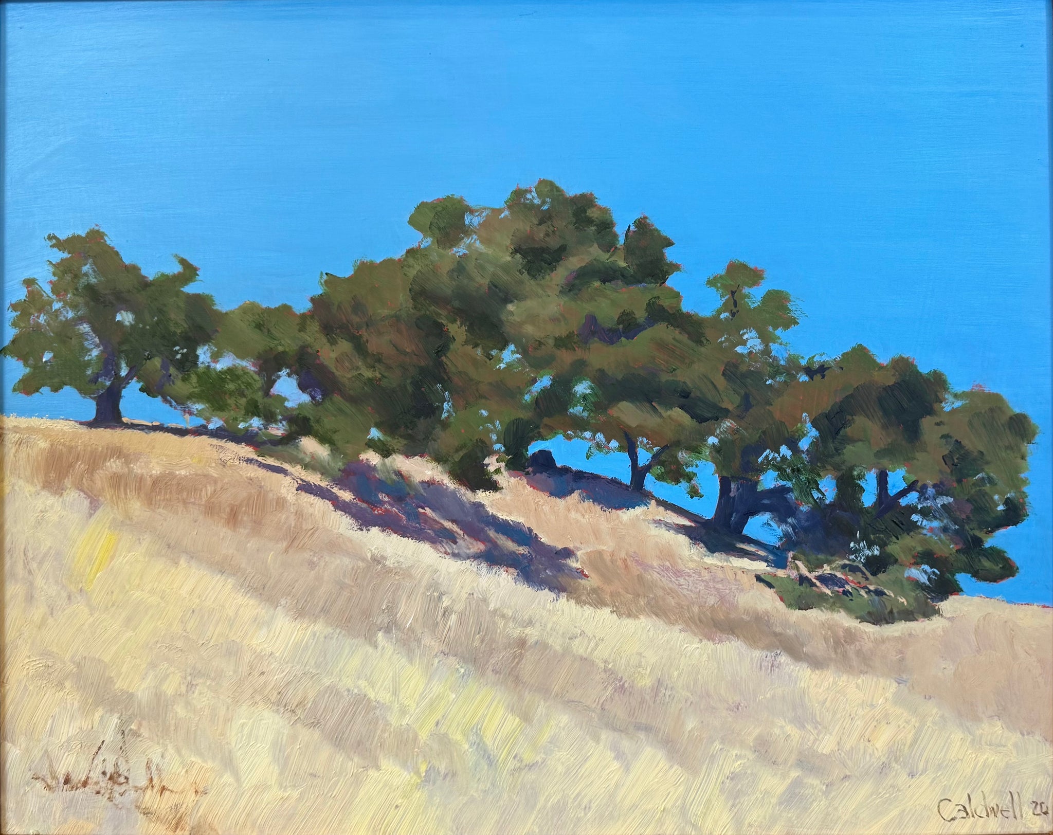 Jim Caldwell Landscape 2020.