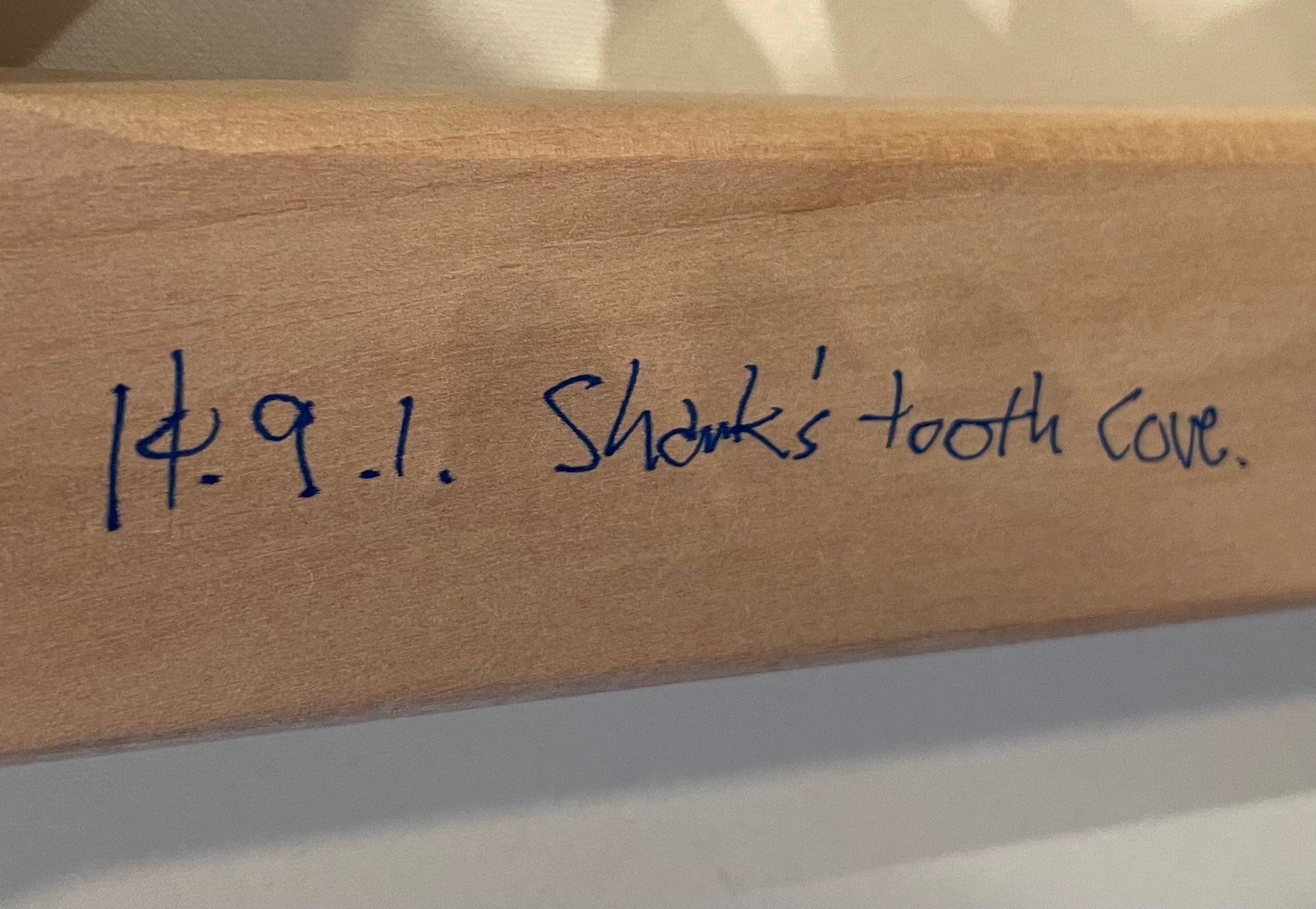 Jim Caldwell "Shark's Tooth Cove".